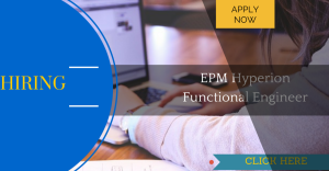 panzer solutions hiring EPM Hyperion Functional developer