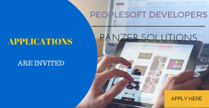 PANZER SOLUTIONS HIRING PEOPLE SOFT DEVELOPERS 